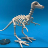playmobil dinosaur skeleton