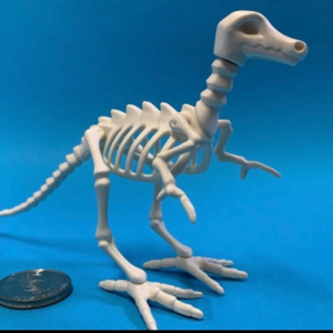 playmobil dinosaur skeleton playmobil dinosaur skeleton