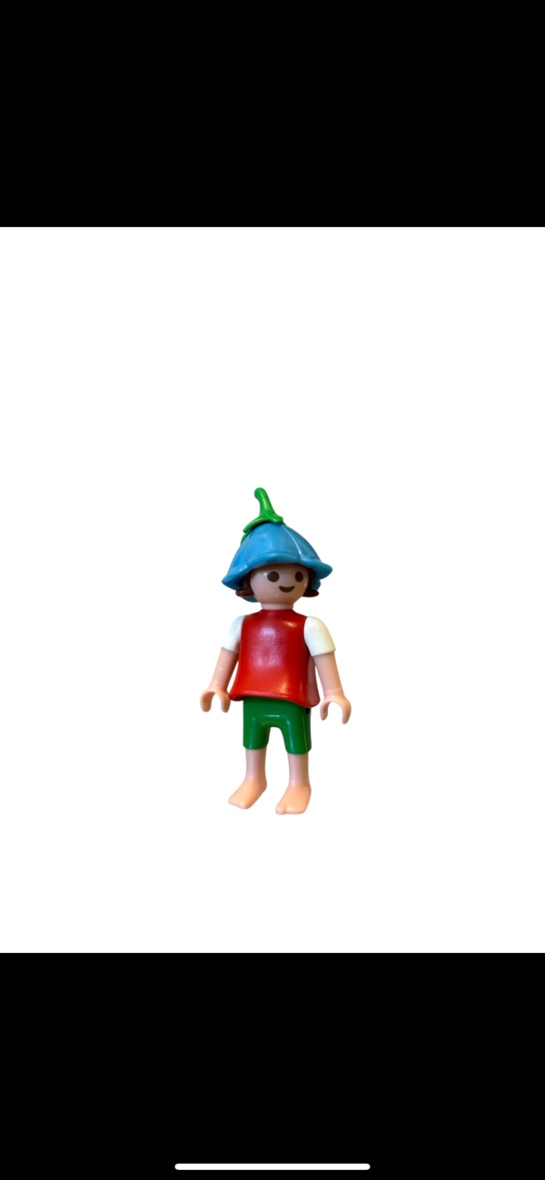 playmobil fairy